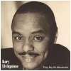 They Say It's Wonderful [CD]