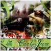 Cool Jazz - Toronto Downtown Jazz Festival 2005 [CD]