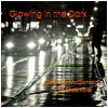 Glowing In The Dark [CD]